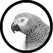 Whitepaper Grey